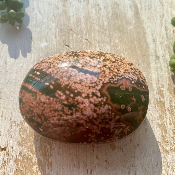 Beautiful Ocean Jasper Palm Stone, Rare, Old Stock
