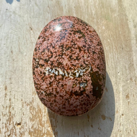 Beautiful Ocean Jasper Palm Stone, Rare, Old Stock