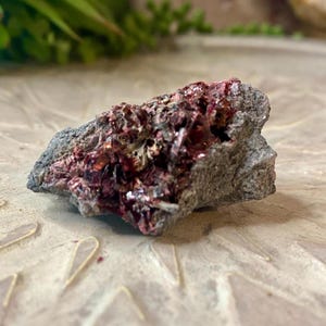 May include: A small, rough, gray rock with a cluster of bright red crystals embedded in it. The crystals are shiny and have a metallic sheen.