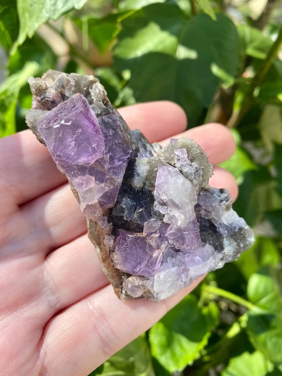 Fluorite Crystal, Purple Cubic Mineral Specimen, 80g Mexican Cluster