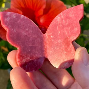 Beautiful Thulite Crystal Carved Butterfly, from Norway