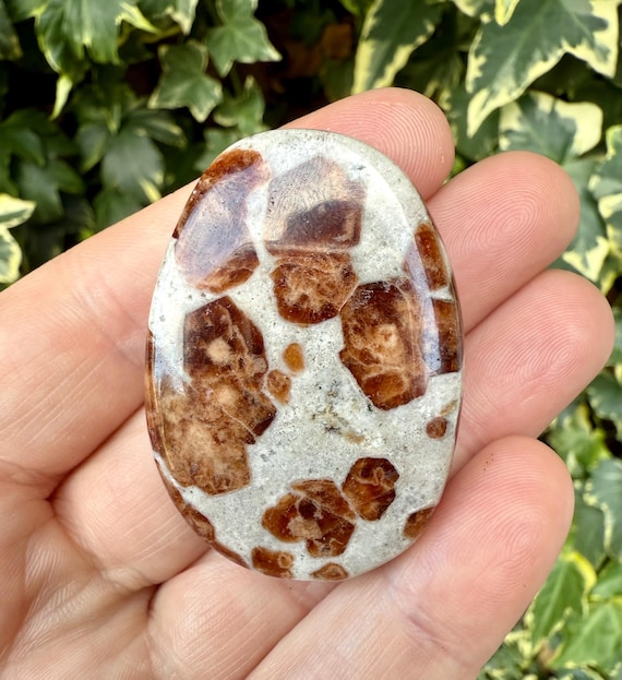 Beautiful Garnet In Wollastonite Palm Stone, Garnet Crystal, Polished Crystal