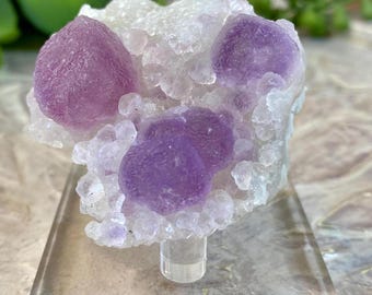 RARE Pink Botryoidal Fluorite on Quartz Matrix, From Zhejiang Hunan Province China