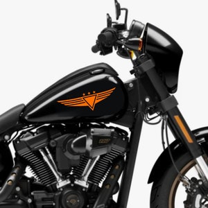 Adesivi Compatibili con Harley-Davidson serbatoio Moto stelle militari HD stickers custom skull Motorbike teschio -colore a scelta- M0145