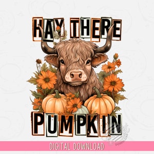 Fall Highland Cow PNG, Funny Fall Sublimation Tumbler, Hay there Pumpkin Shirt Design, Cute Highland Cow DTF, Highland Cow with Pumpkins PNG