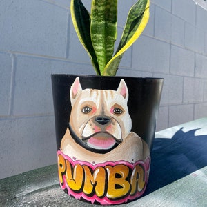 May include: A black painted ceramic planter with a white dog portrait and the name "PUMBA" in pink and yellow letters. A green and yellow snake plant is growing in the planter.