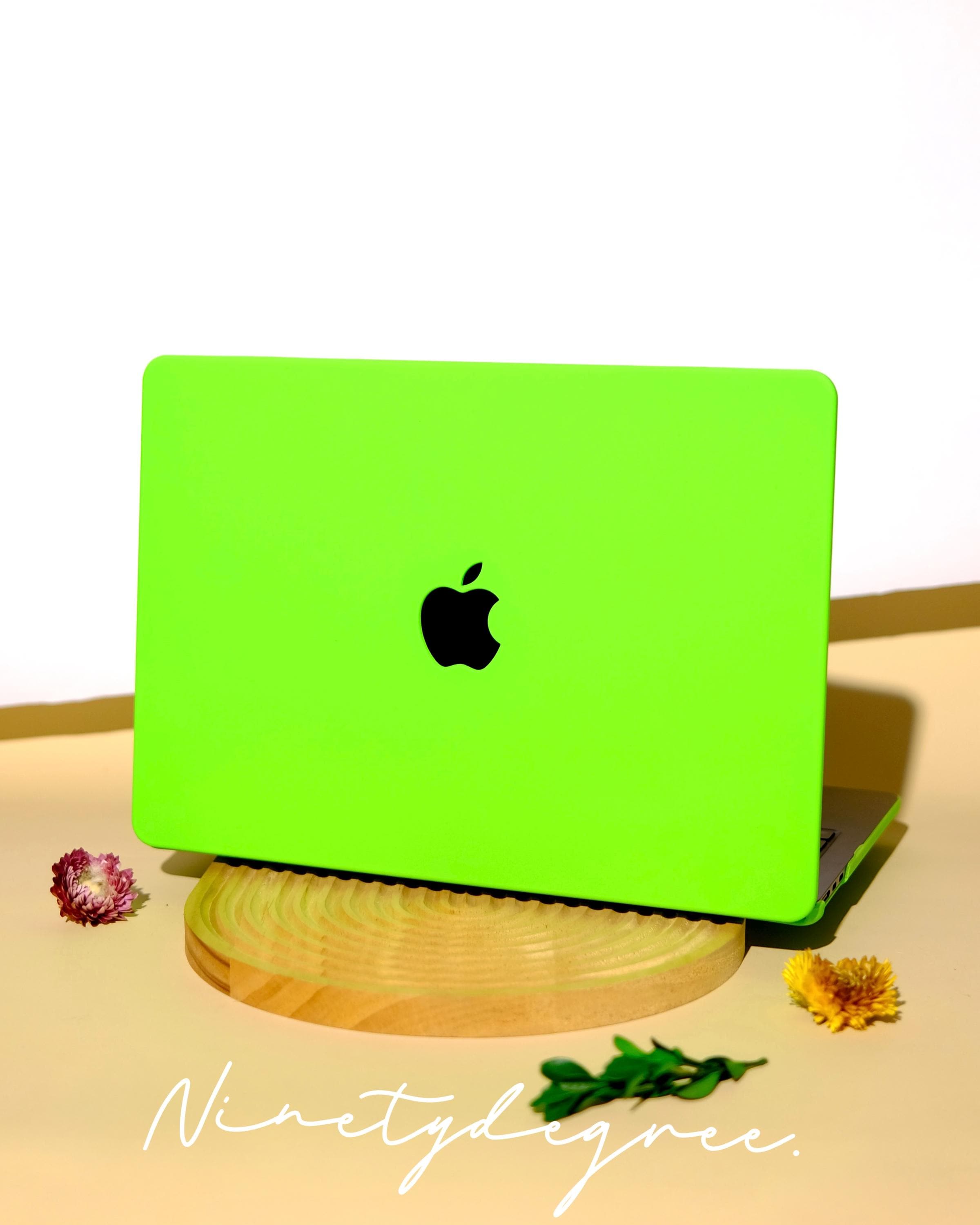 韓国 emis 日本未入荷 LAPTOP CASE green Spectrum 13/14