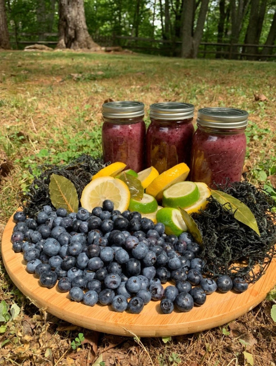 Flavored Sea Moss Jelly Etsy