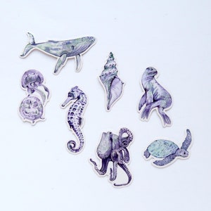Stickerpakket oceaandieren | Laptopstickers | Transparante stickers | Bulletjournaal | Octopus | Kwallen | Schelp | Walvis | Zeepaardje