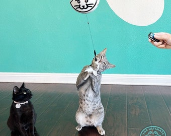 The Ultimate Cat Toy -  Order Now and Get Our Latest 10 Piece Smart Bundle!