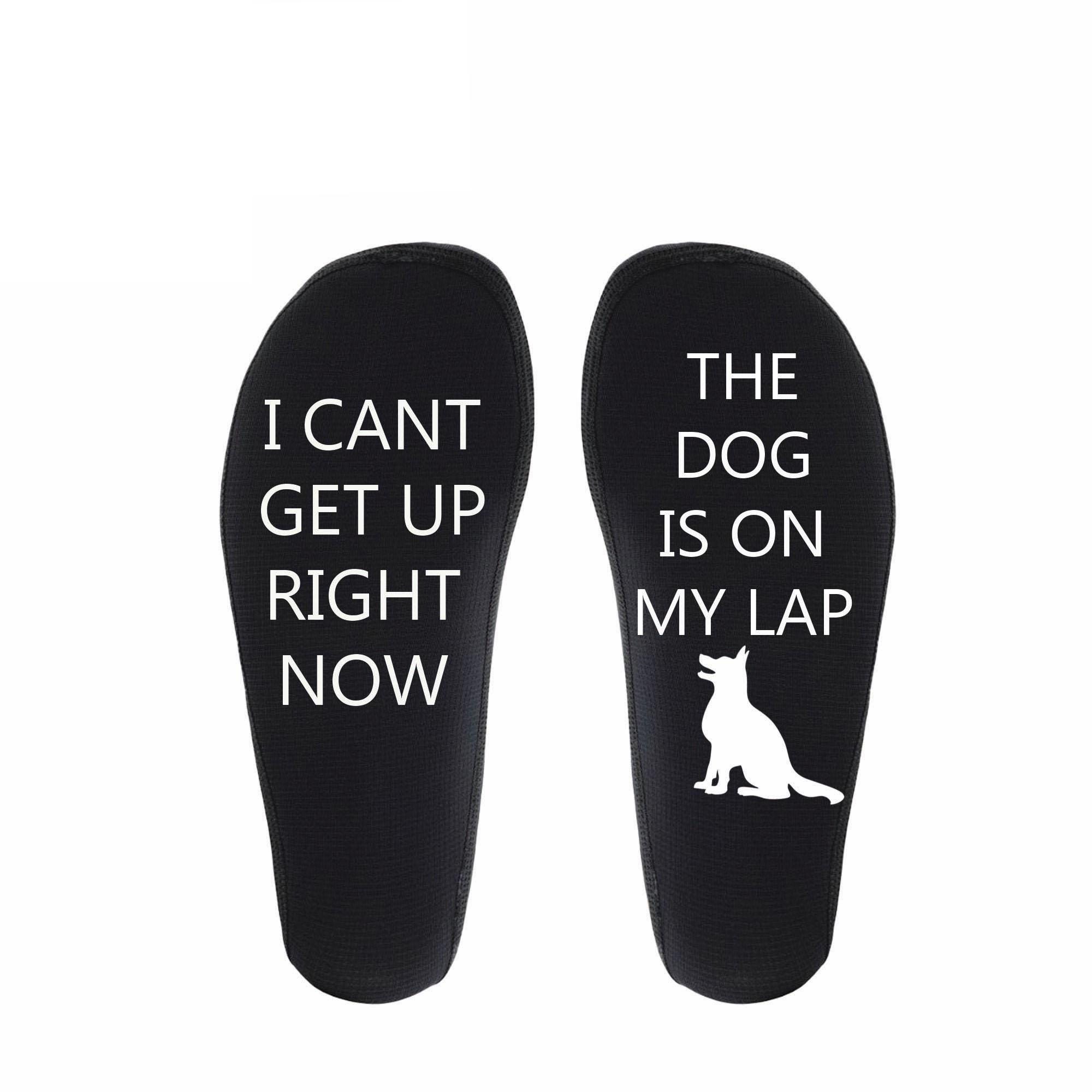 Geschenk Für Hundeliebhaber – T-Shirt Mit Spruch 'I Can't Get Up Now The Dog Is On My Lap'