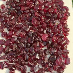 May include: A close-up of numerous dark red garnet gemstones. The polished stones vary in size and shape, with a glossy surface. The gemstones are scattered across a white surface, creating a rich, textured appearance.