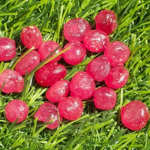 Puede incluir: Un conjunto de pequeños caramelos rojos translúcidos esparcidos sobre hierba verde. Los caramelos tienen una forma redondeada ligeramente irregular y un aspecto brillante.