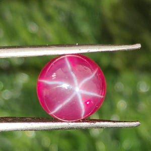 May include: A polished, round ruby gemstone held by tweezers. The ruby is a deep pink colour with a six-rayed star pattern across its surface. The background is a blurred green.