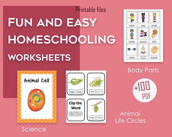 science worksheet homeschool bundle preschool science etsy