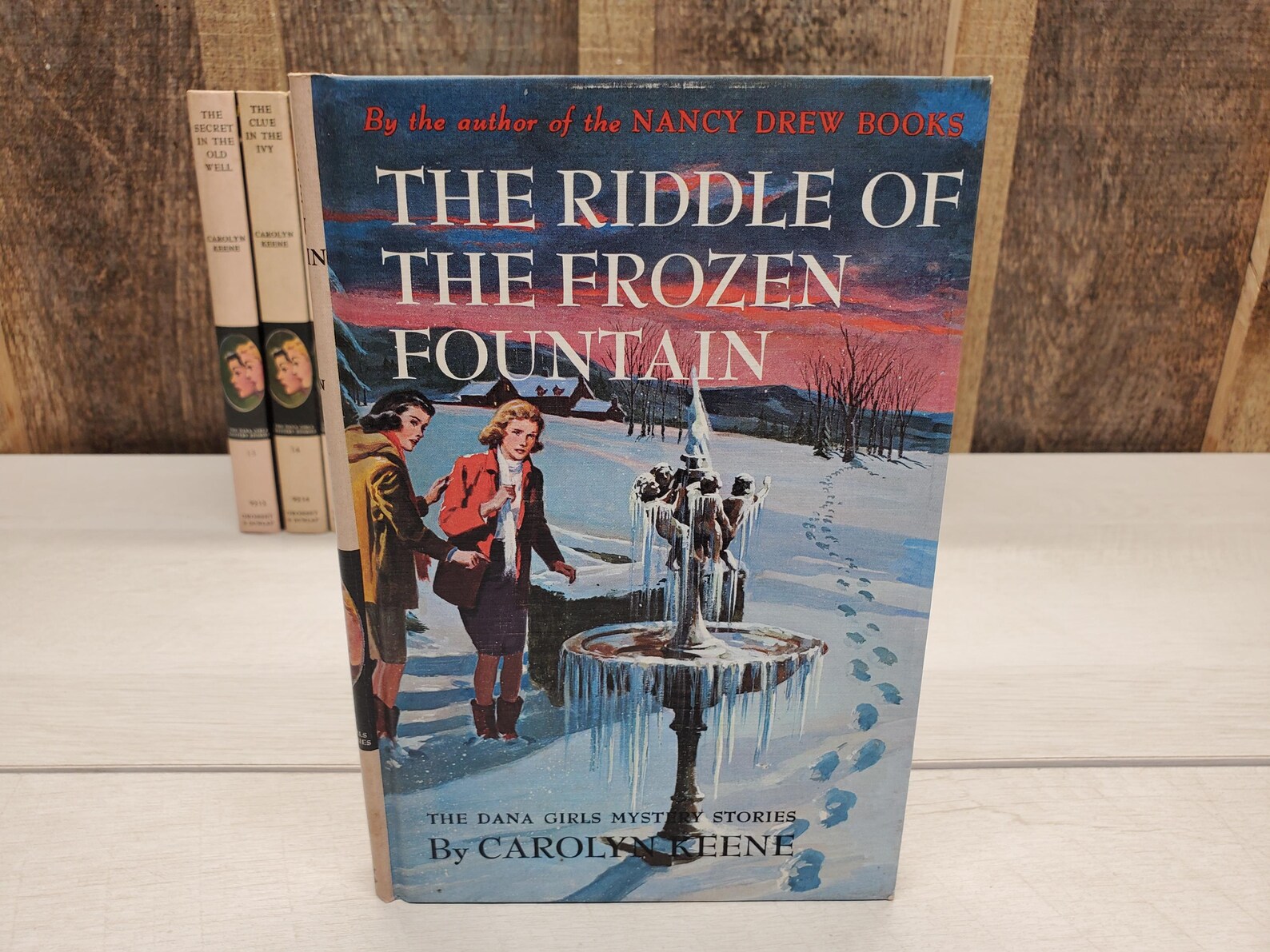 Dana Girls the Riddle of the Frozen Fountain PC - Etsy