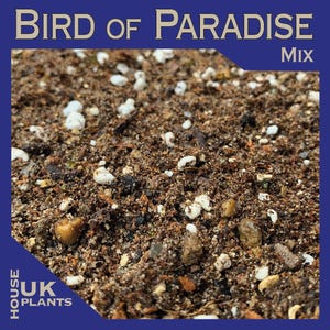 BIRD of PARADISE Repotting Soil Mix (Strelitzia Nicolai, Reginae, Juncea) Peat Free Compost for sowing seeds and potting up indoor plants UK