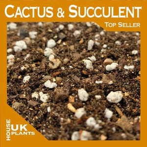 CACTUS & SUCCULENT Repotting Compost Soil Mix (Echeveria Sedum Aloe Haworthia Christmas Cacti Mammillaria Opuntia Prickly Pear) Peat Free UK