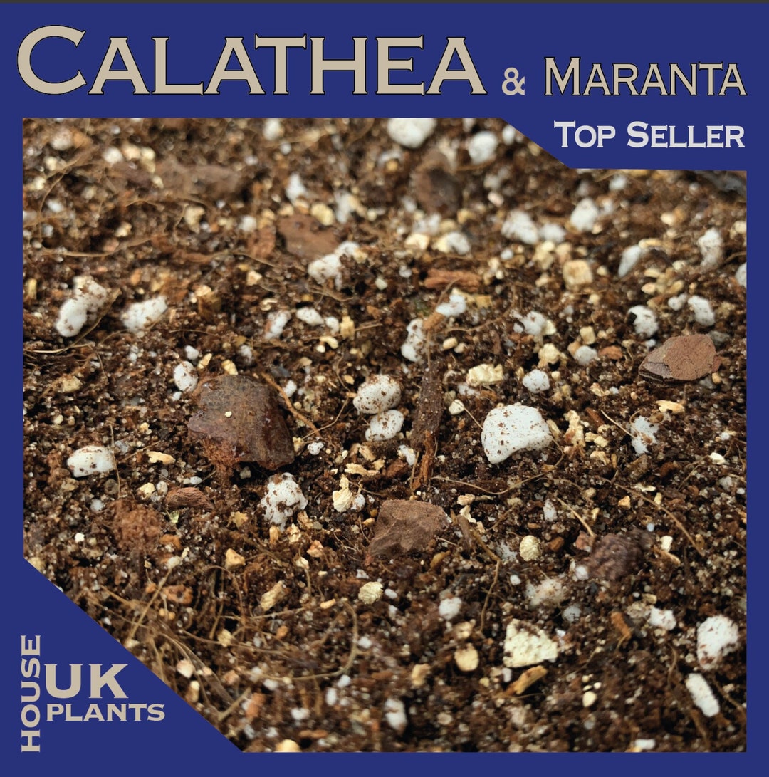 CALATHEA, MARANTA & STROMANTHE Repotting Soil Mix prayer Plant