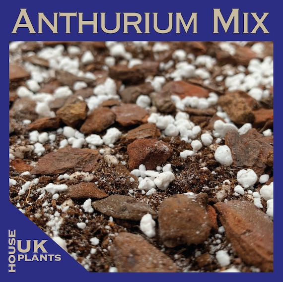 Buy ANTHURIUM Repotting Compost Mix (clarinervium, Warocqueamum,  Crystalline, Vittarifolium Magnificum Hookeri Veitchii Andraeanum) Potting  Soil Online in India - Etsy