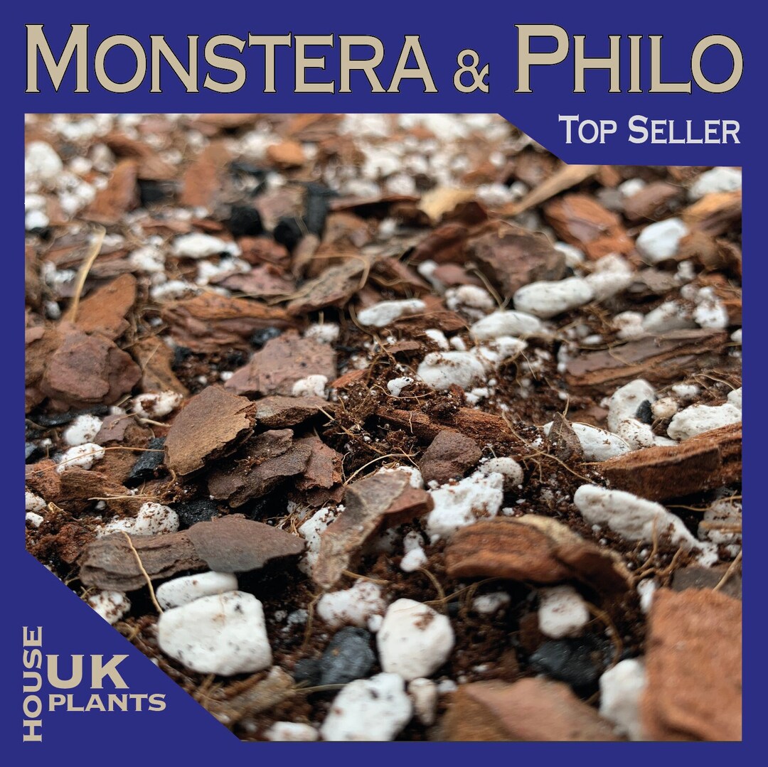 MONSTERA & PHILODENDRON Repotting Soil Mix cheese Plant Deliciosa Albo