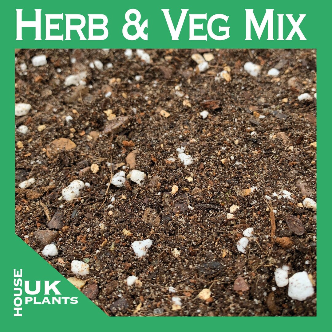 INDOOR HERB CHILLI & Veg Compost Soil Mix seed Sowing Etsy UK