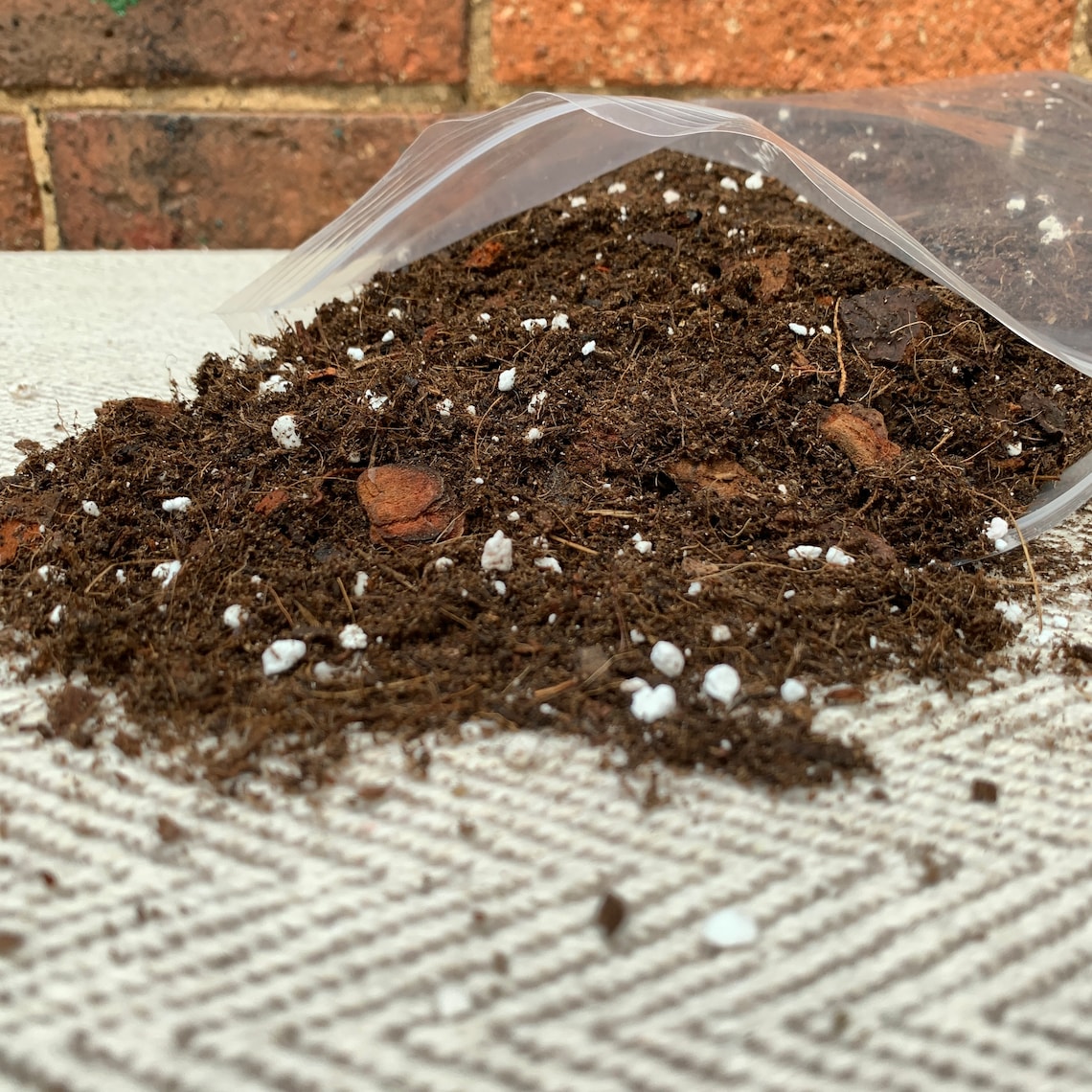 Peace Lily Potting Mix spathiphyllum Etc. Etsy UK