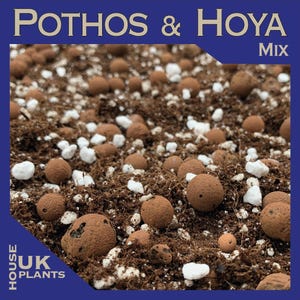 May include: A close-up image of a soil mix for plants, showing brown clay pebbles and white perlite. The text "POTHOS & HOYA Mix" is at the top, with "UK HOUSE PLANTS" at the bottom, indicating the product's origin.