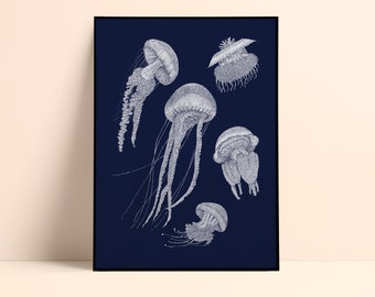 Illustration drawn The Jellyfish - 50x70cm - Silkscreen on Midnight Blue Paper - Limited and numbered edition - Pablo is a girl