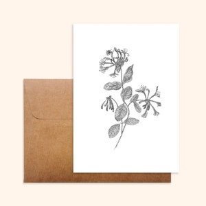 Carte et enveloppe kraft - Chèvrefeuille - Illustration dessinée à la main - Impression sur papier épais texturé - Pablo est une fille