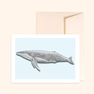 Carte et enveloppe ivoire - Baleine - Illustration dessinée à la main - Impression sur papier épais texturé - Pablo est une fille