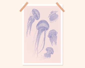 Cartoon illustration "Jellyfish - 20x30cm - Digital print poster - Print on thick textured paper - Pablo is a girl