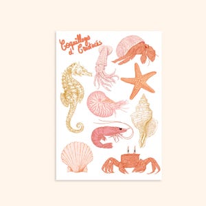 Puede incluir: Un fondo blanco con ilustraciones de varias criaturas marinas en tonos de rosa, naranja y dorado. El texto "Coquillages et Crustacés" está escrito en cursiva en la parte superior de la imagen.