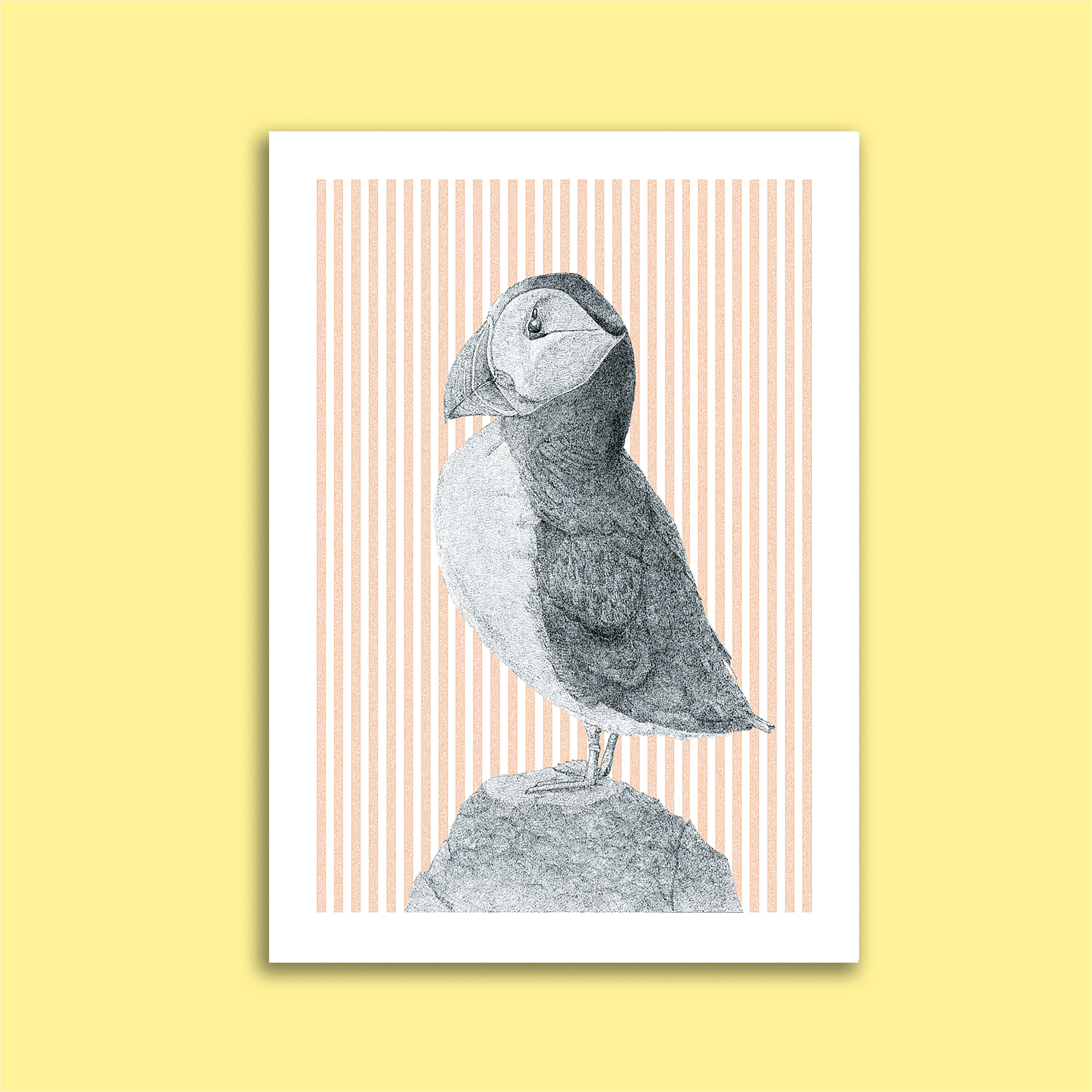 Carte Postale Animaux + Enveloppe Ivoire