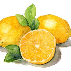 Impression d'art aquarelle citrons