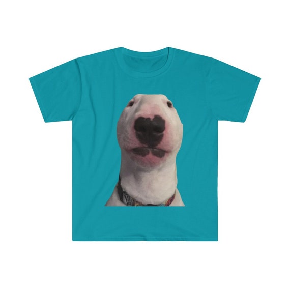 Staring Meme Dog Dog Stare Meme Picture Funny Meme T-Shirt - Etsy Sweden