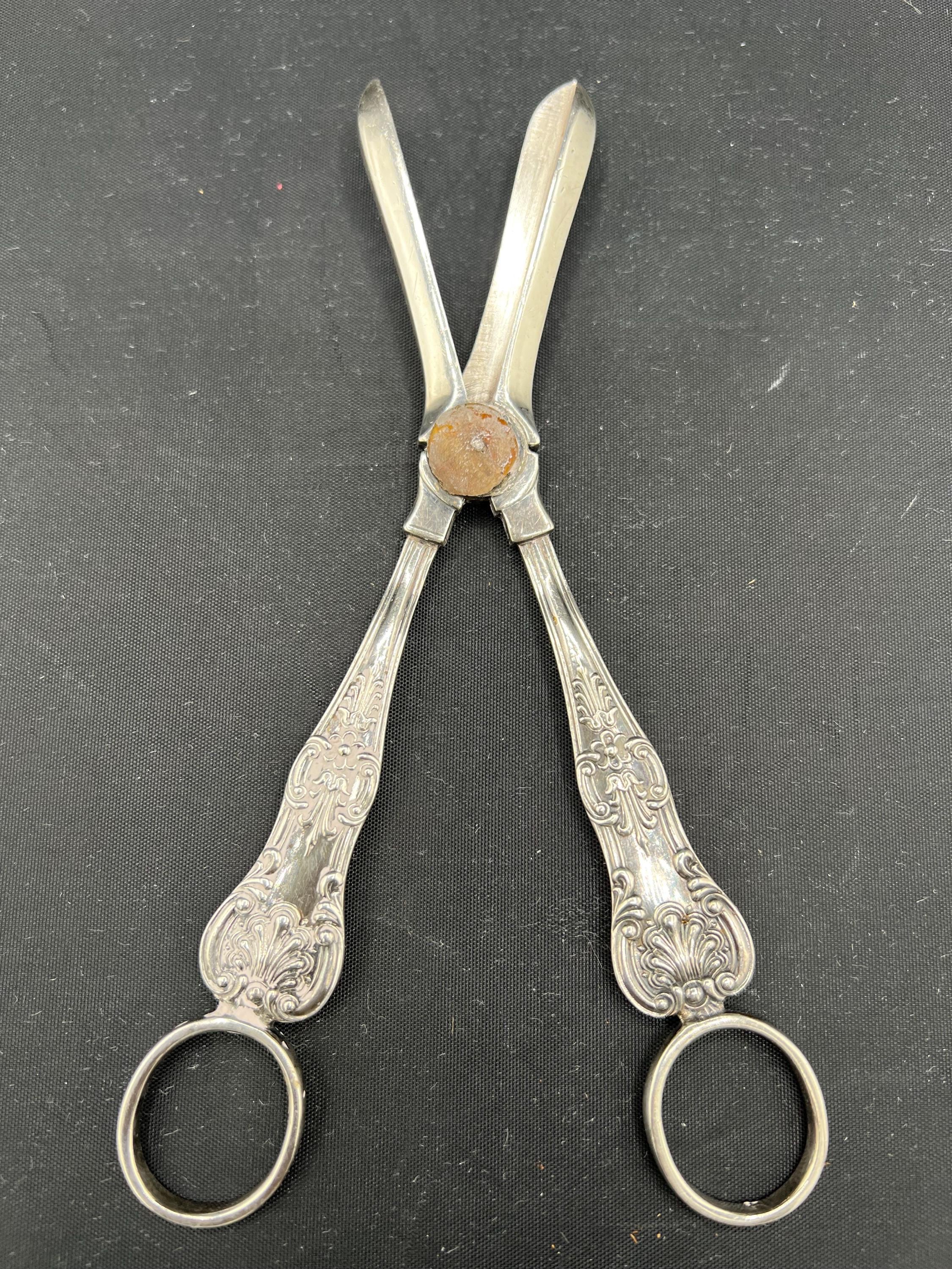 Grapes Scissors - Etsy