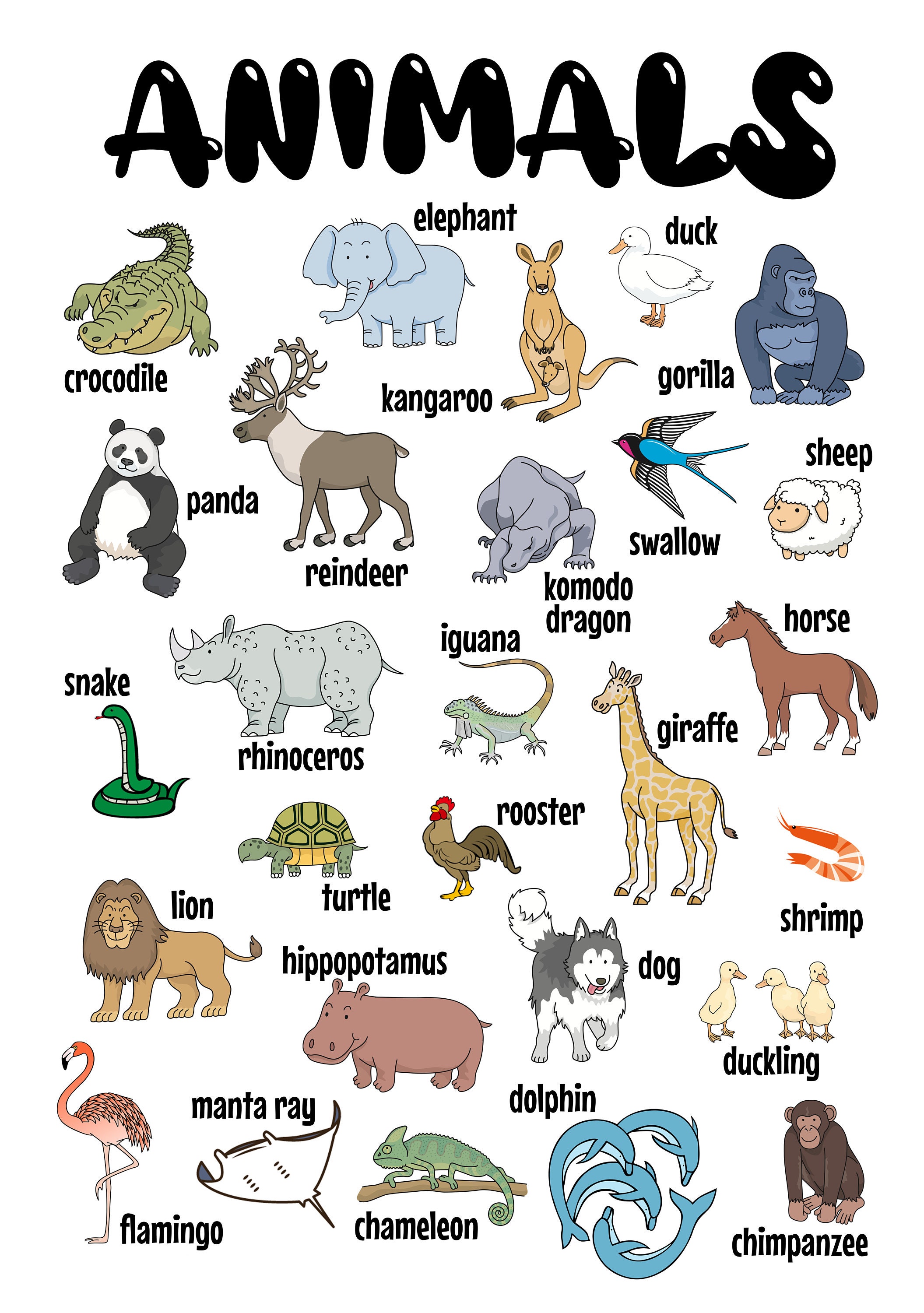 Animal Poster Printable Digital Print Poster 27 Animals Etsy Ireland