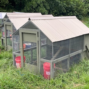 May include: Three olive green chicken coops with wire mesh sides and corrugated metal roofs are set in a grassy area. Red buckets are visible inside and outside the coops. The coops are designed to house chickens.
