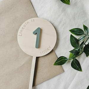 May include: A wooden circle with the text "Lincoln is 1 today" and a green number one on it. The circle is attached to a wooden stick.