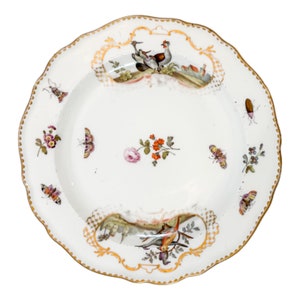 Antique 19th century Meissen porcelain bird and insect design plate with gilt scalloped rim
