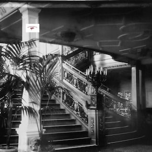 May include: Black and white photograph of a grand staircase with ornate railings and a chandelier. A potted plant is visible near the stairs. The image has a vintage aesthetic.
