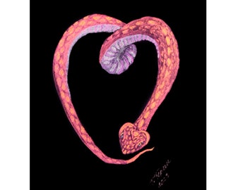 Slang schilderij reptielen originele aquarel kunst dierlijke artwork metallic illustratie zwarte aquarel schilderij 8 "x 12" door TetianaTereshArt