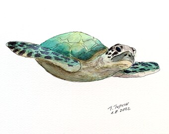 Schildkröte Malerei Tier Original Aquarell Kunst Ocean Kunstwerk Unterwasser Skizze 6 "von 8" von TetianaTereshArt