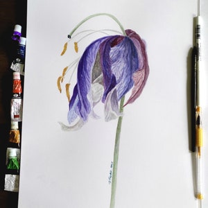 May include: Watercolor painting of a drooping purple and white flower with a green stem. The flower's petals are a mix of purple and white, with hints of brown. The artwork is on white paper, with paint tubes and a brush visible.