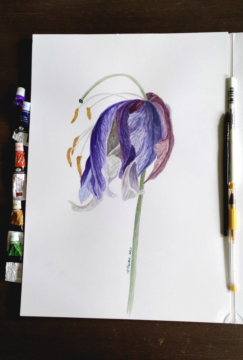 May include: Watercolor painting of a drooping purple and white flower with a green stem. The flower's petals are a mix of purple and white, with hints of brown. The artwork is on white paper, with paint tubes and a brush visible.