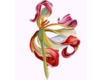 Lily Painting Flower Original Watercolor Art Floral Artwork Plant Wall Art Botanical Illustration 17" by 12" by TetianaTereshArt