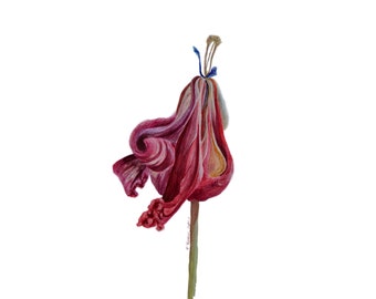 Liljamålning Blomma Original Akvarellkonst Blomsterkonst Väggkonst Botanisk Illustration 43 x 30 cm av TetianaTereshArt