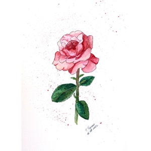 Pintura de rosa, arte floral original en acuarela, ilustración botánica de rosa rosa, 30 x 20 cm, de TetianaTereshArt