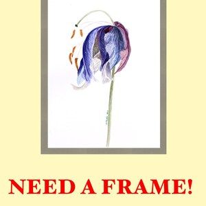 May include: Watercolor painting of a drooping flower in shades of blue, purple, and white, set in a gray frame. The flower has a green stem and brown stamens. The text "NEED A FRAME!" is in red below the frame.